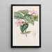 Ruellia à fleurs lilas - Sydenham Edwards — oprawiony obraz na ścianie