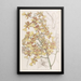 Oncidium z długimi liśćmi - Sydenham Edwards — oprawiony obraz na ścianie