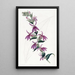 Lobelia purpurowa od Lows - Sydenham Edwards — oprawiony obraz na ścianie