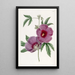 Hibiscus autorstwa M. Lindley - Sydenham Edwards — oprawiony obraz na ścianie