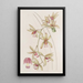 Cymbidium à lèvres courtes et feuilles épaisses - Sydenham Edwards — oprawiony obraz na ścianie