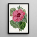 Hibiskus z Chin o pojedynczym kwiecie - Sydenham Edwards — oprawiony obraz na ścianie