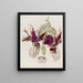 Stanhopea à Fleurs Tigrées - Sydenham Edwards — oprawiony obraz na ścianie