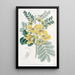 Cassia à deux fleurs - Sydenham Edwards — oprawiony obraz na ścianie