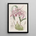 Epidendrum verruqueux - Sydenham Edwards — oprawiony obraz na ścianie