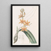 Yolkofegg Epidendrum - Sydenham Edwards — oprawiony obraz na ścianie