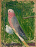 Papuga - Tadeusz Makowski — widok dzieła