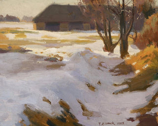 Teodor Ziomek - Winter thaw.webp