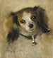 Tête de chien - Pierre-Auguste Renoir — widok dzieła
