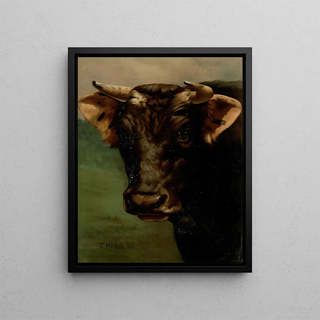 Thaddeus Welch - Bulls head.webp