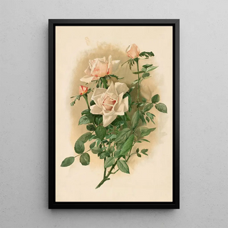 Thaddeus Welch - Duchesse de Vallombrosa Roses.webp