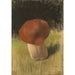Reprodukcja obrazu The Mushroom - Franz von Stuck