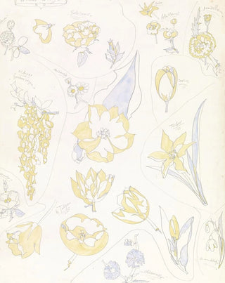Theo Colenbrander - Ontwerpen voor aardewerkdecoratie zes tulpen en andere bloemen.webp