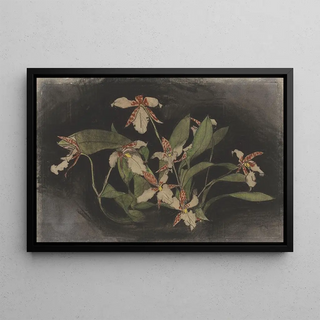 Theo Nieuwenhuis - Bloeiende orchideentak.webp