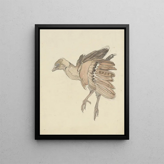 Theo van Hoytema - Dood vogeltje.webp