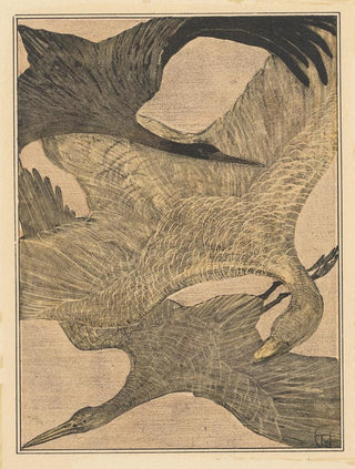 Theo van Hoytema - Drie vliegende vogels.webp