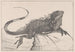 Lizard na kamieniu w wodzie - Theo van Hoytema — widok dzieła