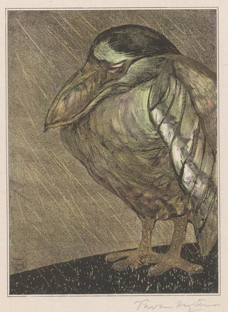 Theo van Hoytema - Schuitbekreiger in de regen.webp