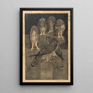 Theo van Hoytema - Steenuilen en torenvalken.webp