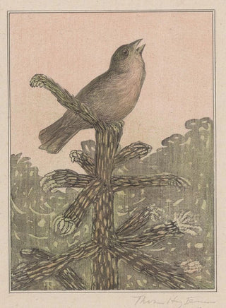Theo van Hoytema - Zingende vogel op naaldboom.webp
