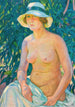 Nu au Panama - Theo van Rysselberghe — widok dzieła