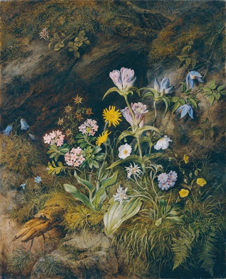 Theodor Petter - Alpine Flora.webp