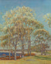 Marais d'Ipswich - Theodore Wendel — widok dzieła
