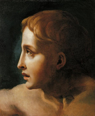 Thodore Gricault - Head of a Youth.webp