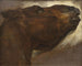 Studium martwego konia - Théodore Géricault — widok dzieła