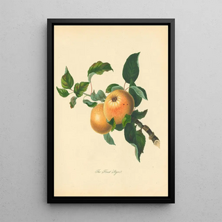 Thomas Andrew Knight - Forest Styre.webp