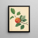 Orange Pippin - Thomas Andrew Knight — oprawiony obraz na ścianie