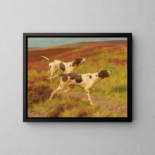 Thomas Blinks - Two pointers in the heather.webp