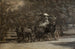 Le Quatre-en-main de Fairman Rogers, un Matin de Mai dans le Parc - Thomas Eakins — widok dzieła
