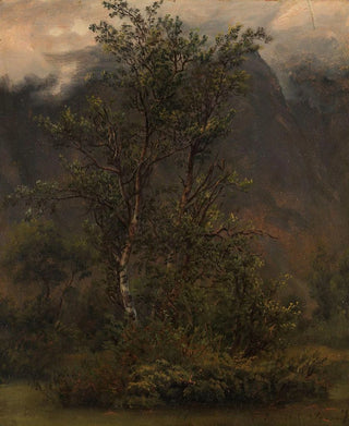 Thomas Fearnley - Study of Birches in Romsdal.webp