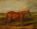 Picayune dans un paysage - Thomas Scott — widok dzieła