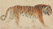 Un Tigre - Thomas Stothard — widok dzieła