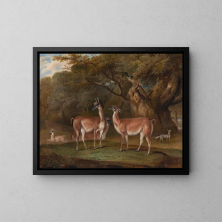 Thomas Weaver - Llamas and a fox in a wooded landscape.webp