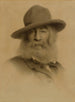 Walt Whitman - Thomas Wilmer Dewing — widok dzieła
