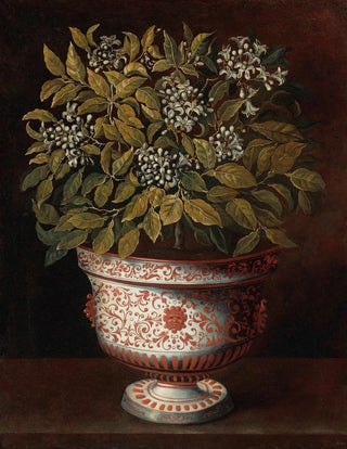 Toms Hiepes - Terracotta Vase With An Orange Bush In Flower.webp