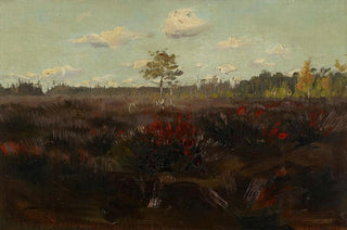 Torsten Wasastjerna - Bog in Lapland.webp
