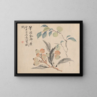 Tsubaki Chinzan - Loquat Tree of Japan.webp