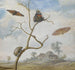 Un hanneton sur une branche, deux papillons, un papillon de nuit et un petit scarabée au-dessus et un paysage derrière - Margareta de Heer — widok dzieła