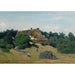 Reprodukcja obrazu Wieś w Saint-Martin-du-Bon-Fossé autorstwa Jean-Baptiste Camille Corot