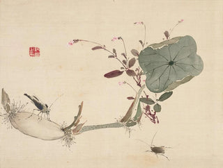 Urakami Shunkin - Studies from Nature Plants Fish and Birds Lotus Tuber with Insects.webp