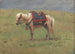 Poneys himalajskich - Vasily Vereshchagin — widok dzieła