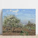 Reprodukcja obrazu W sadzie w kwiaty, Louveciennes - Camille Pissarro
