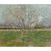 Reprodukcja obrazu Sad w kwitnących drzewach (śliwy) - Vincent van Gogh