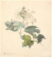Viburnum de Kalkved - P C Skovgaard — widok dzieła