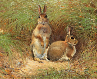 Victor StoetznerLund - Rabbits.webp