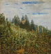 Letni winnica w Pillnitz - Carl Gustav Carus — widok dzieła